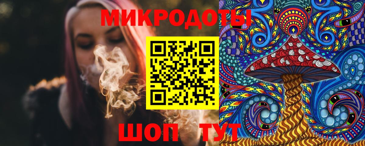 Псилоцибиновые грибы Psilocybe Электрогорск